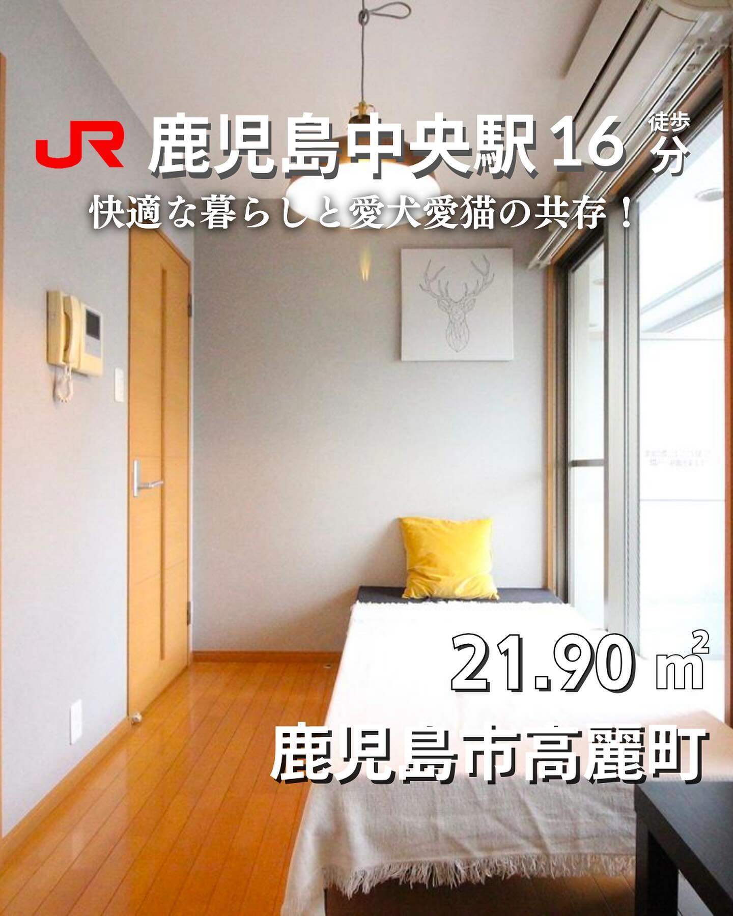 『掲載から一定期間経過したためこちらの投稿からの募集は停止しております。詳細希望の方はDMもしくはLINEにてご連絡ください。』
.
. 

🫲他の物件はこちらから